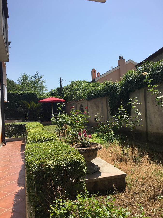 Apartment Garden Котор Экстерьер фото
